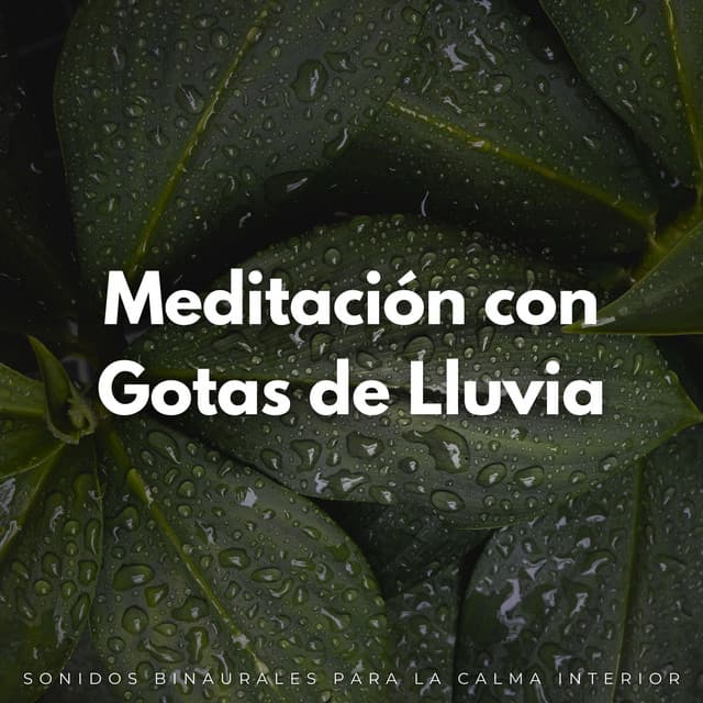 Meditación Con Gotas De Lluvia: Sonidos Binaurales Para La Calma Interior - Relajación Lluvia Meditación