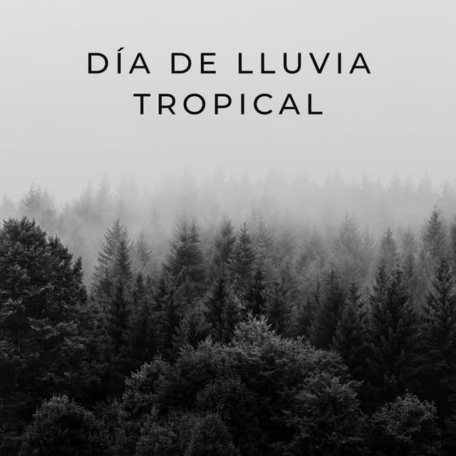 Día De Lluvia Tropical - Ambiente De Lluvia