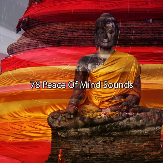 78 Peace Of Mind Sounds - Massage Music