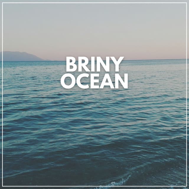 Briny Ocean - Sounds of Nature Noise