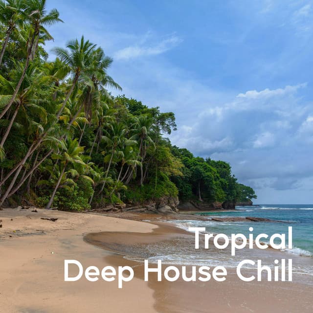 Tropical Deep House Chill - Chill House EDM Fest