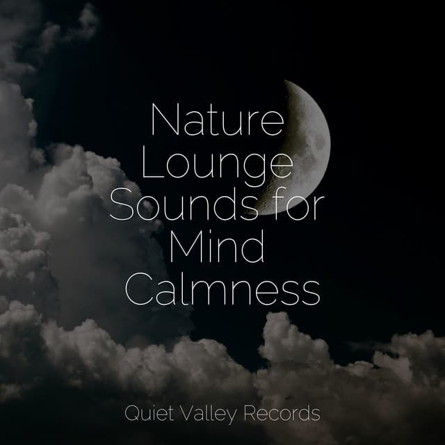 Nature Lounge Sounds for Mind Calmness - Natureza Musica Bem-Estar Academia