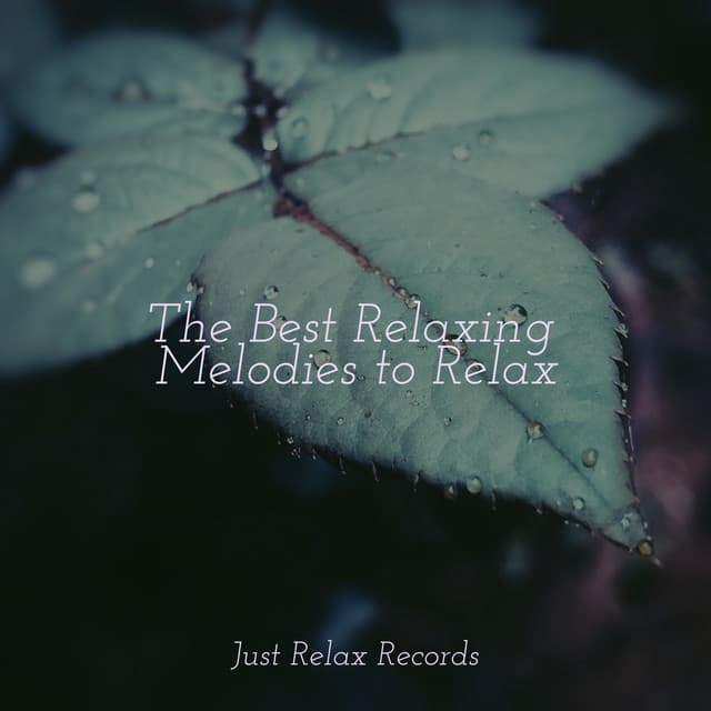 The Best Relaxing Melodies to Relax - Meditation