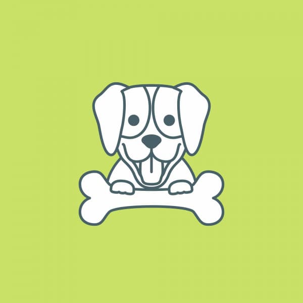 Backdrop for Scruffy Dog - Fabulous Jazz Quartet - Dog Anxiety Music