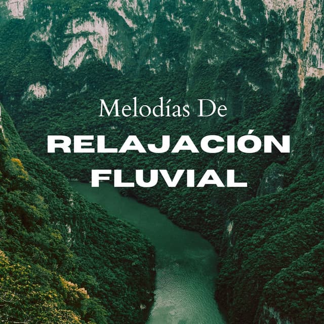 Melodías De Relajación Fluvial - Centro de Efectos de Agua