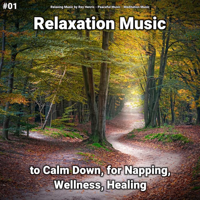#01 Relaxation Music to Calm Down, for Napping, Wellness, Healing - Meditation Music
