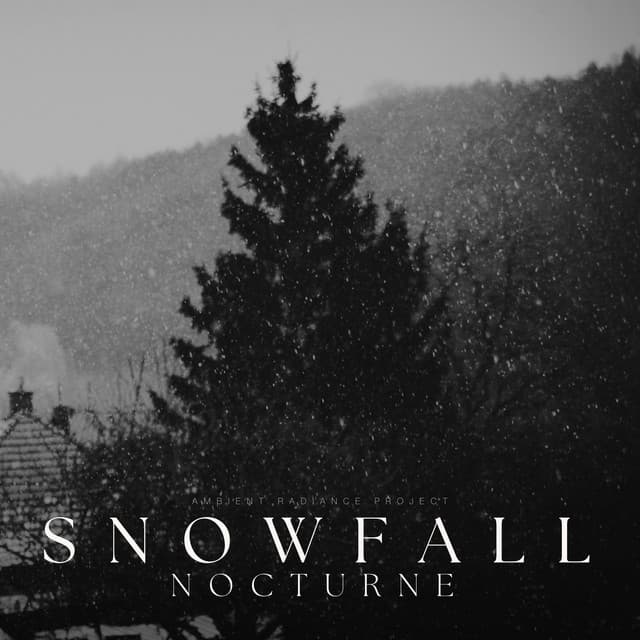 Snowfall Nocturne - Reading Music