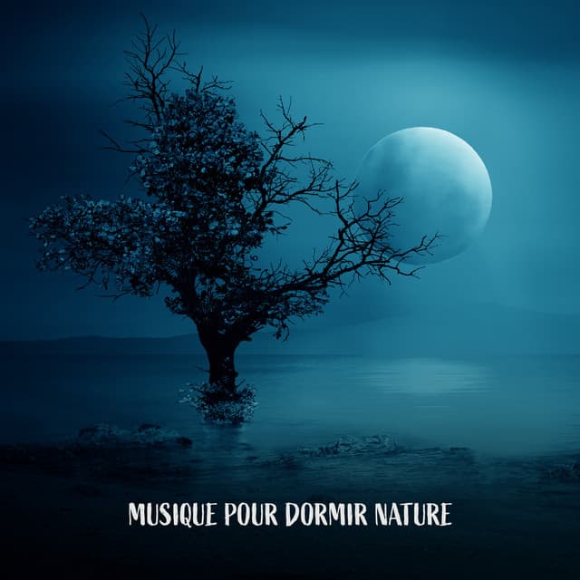 Musique pour dormir nature: Sommeil profond, Réparateur, Sons relaxants - Oasis Relaxante Pour Dormir