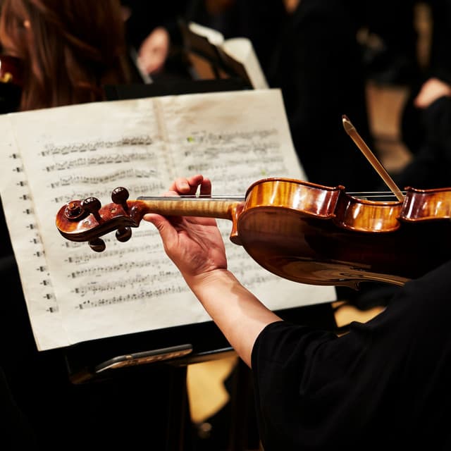 Symphony of Silence: Peaceful Orchestra Sounds - Jason Humphries