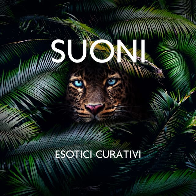 Suoni esotici curativi: Terapia di rilassamento con musica per meditare - Rilassamento Mentale