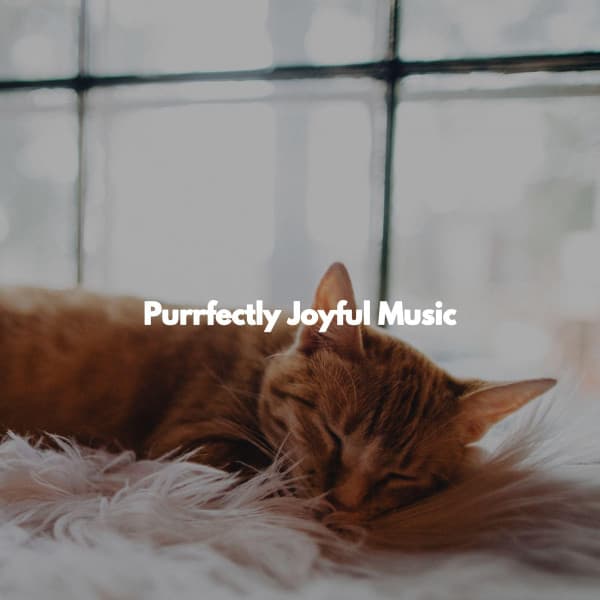 Purrfectly Joyful Music - Weekend Jazz Chillout