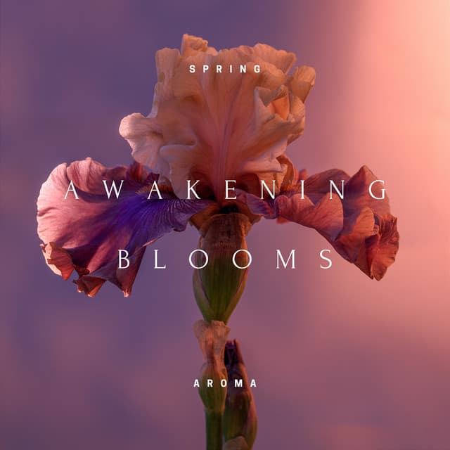 Awakening Blooms: Harmonies of New Life - Spring Aroma