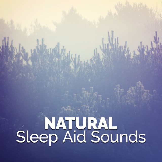 Natural Sleep Aid Sounds - Deep Sleep Nature Sounds