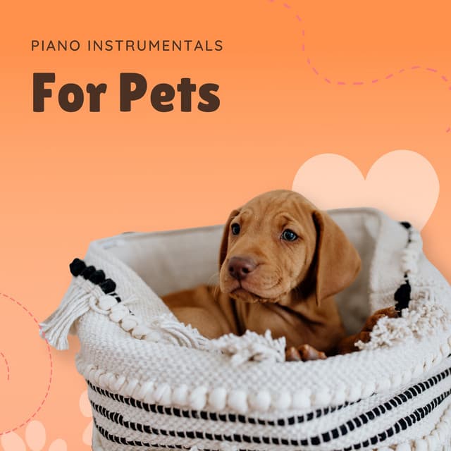 Piano Instrumentals For Pets - Pet Music Therapy