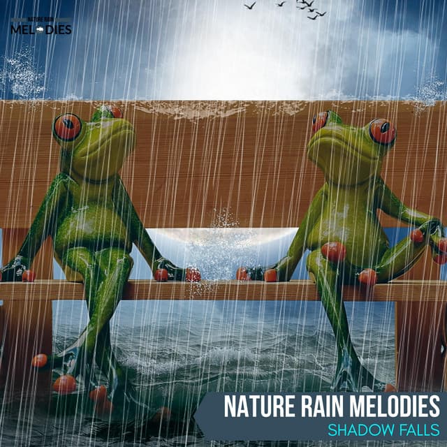 Nature Rain Melodies - Shadow Falls - The Rain Library