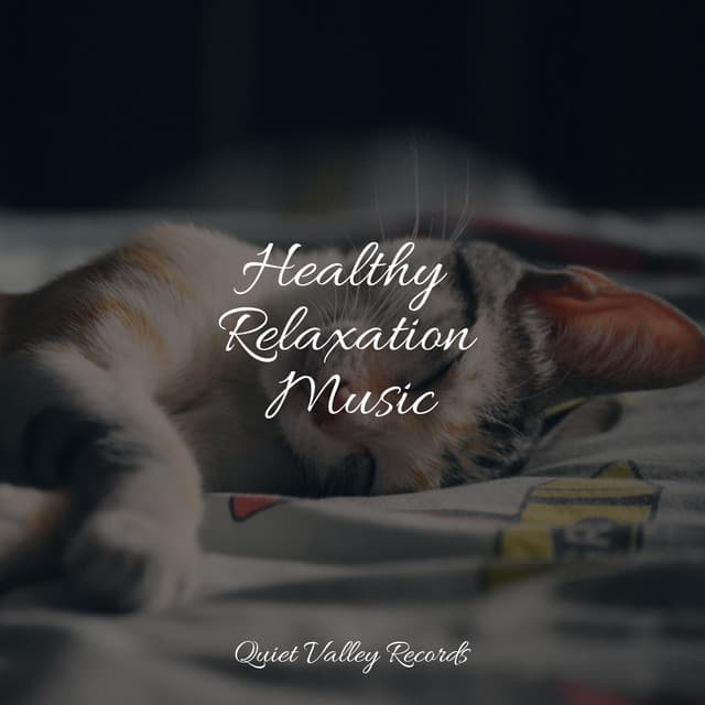 Healthy Relaxation Music - Nature and Rain