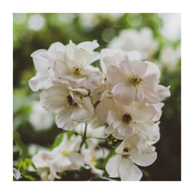 Always Be Motivated - Study Focus Help