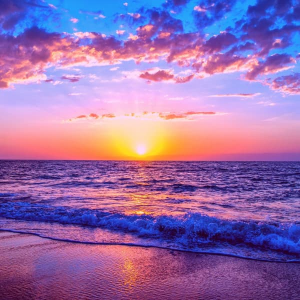 Music for Wellness - Bossa Nova Jazz