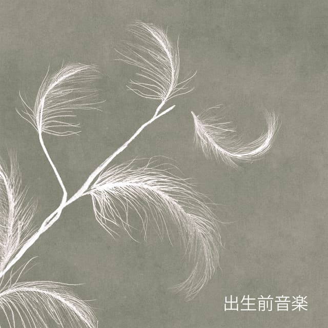 Hypnobirthing Music Academy