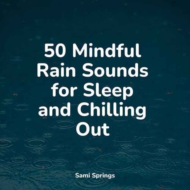 50 Mindful Rain Sounds for Sleep and Chilling Out - The Rain Library