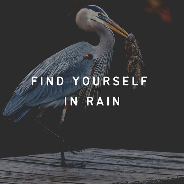 Find Yourself in Rain - Rain Sounds & White Noise