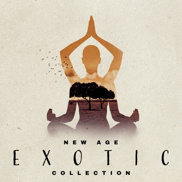 New Age Exotic Collection - Time to Meditation & Massage - Exotic New Age Master