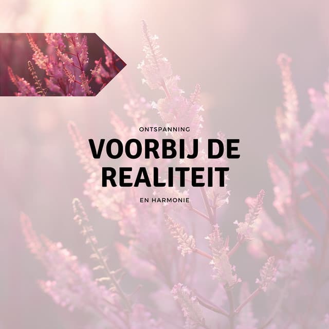 Voorbij de Realiteit - Ontspanning en Harmonie