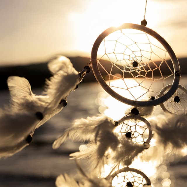 Experience African Drums