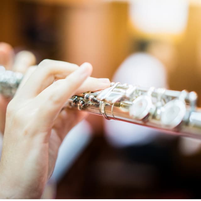 Orchestra for Work Concentration - Charles Anderson