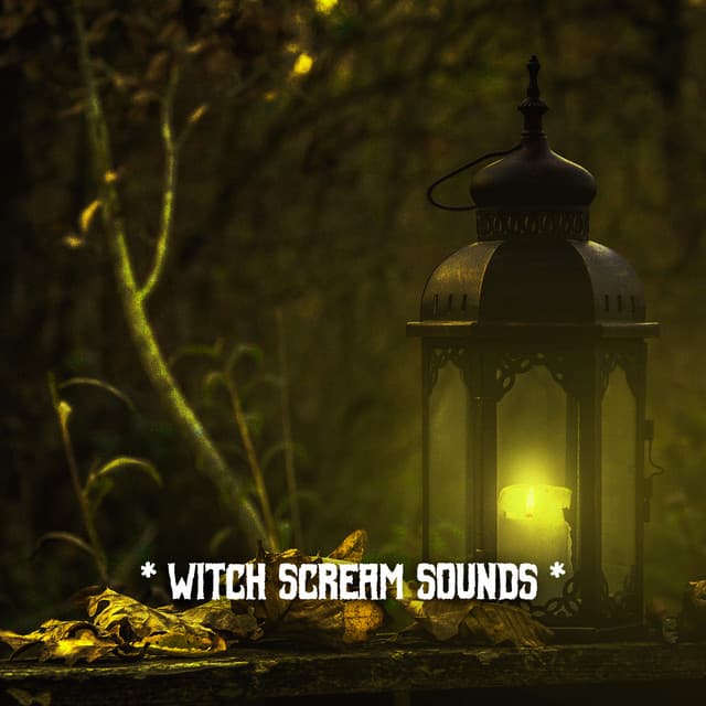 * Witch Scream Sounds * - The Haunted House of Horror Sound Effects