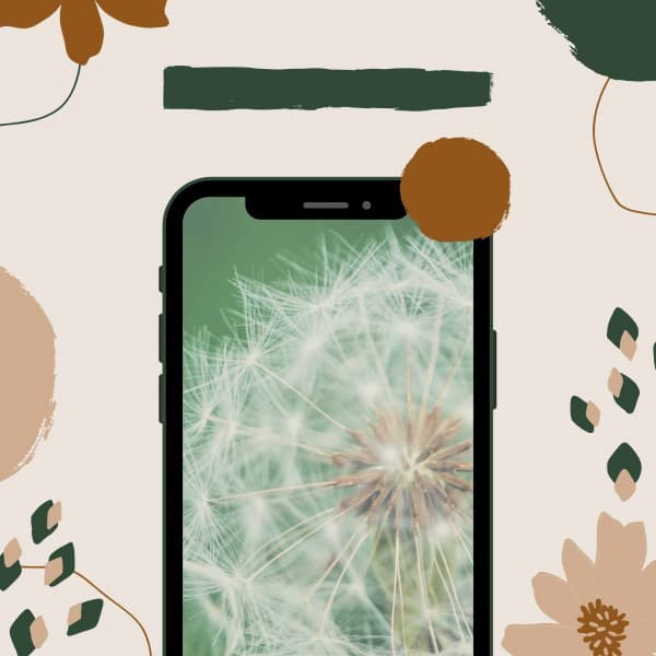 Feelings for Enjoying Nature - Playful Jazz Beats