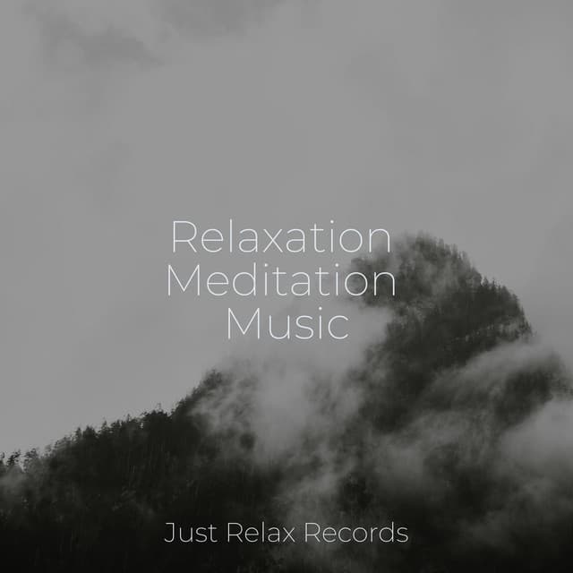 Relaxation Meditation Music - Lounge relax
