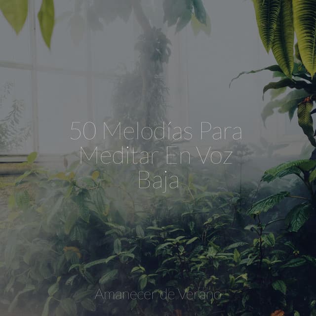 50 Melodías Para Meditar En Voz Baja - Sonidos de la Naturaleza Relajacion