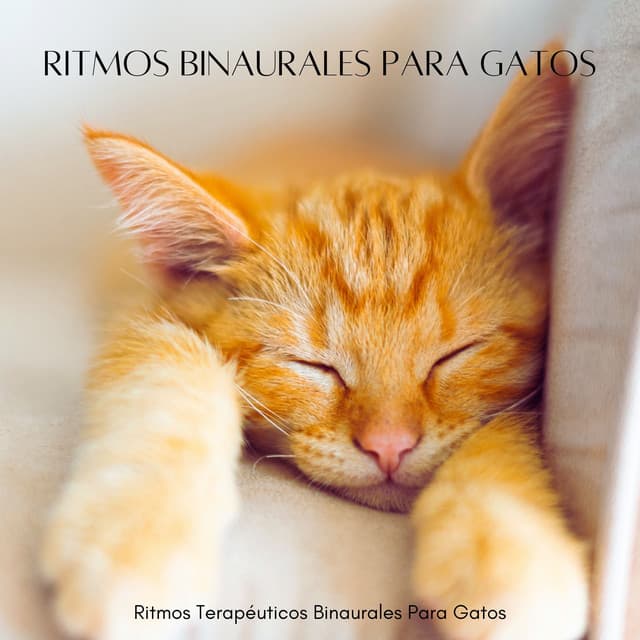 Ritmos Terapéuticos Binaurales Para Gatos - Colectivo Binaural
