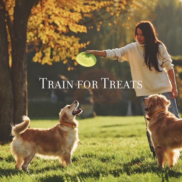 Train for Treats: Playful Sounds of Kalimba for Training Your Dog - Calm Pets Music Academy