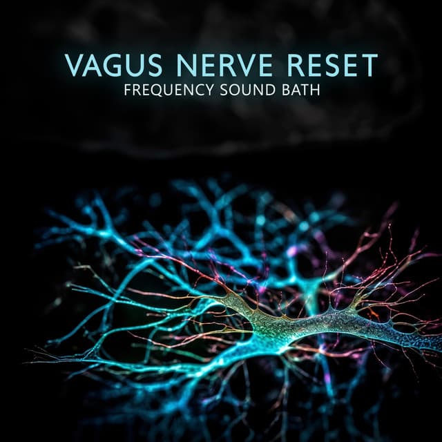 Vagus Nerve Reset: Healing Frequency Sound Bath, Relax Your Mind & Body to Heal - Buddha Music Sanctuary