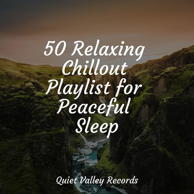 50 Relaxing Chillout Playlist for Peaceful Sleep - Nature Sounds Collection