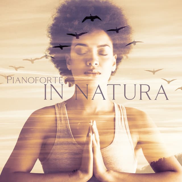 Suoni naturali zen