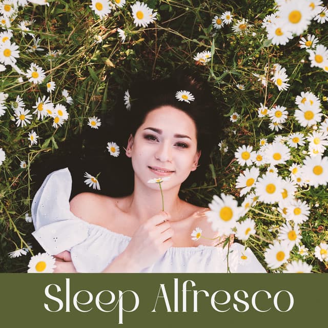 Sleep Alfresco - Sleeping Music Zone