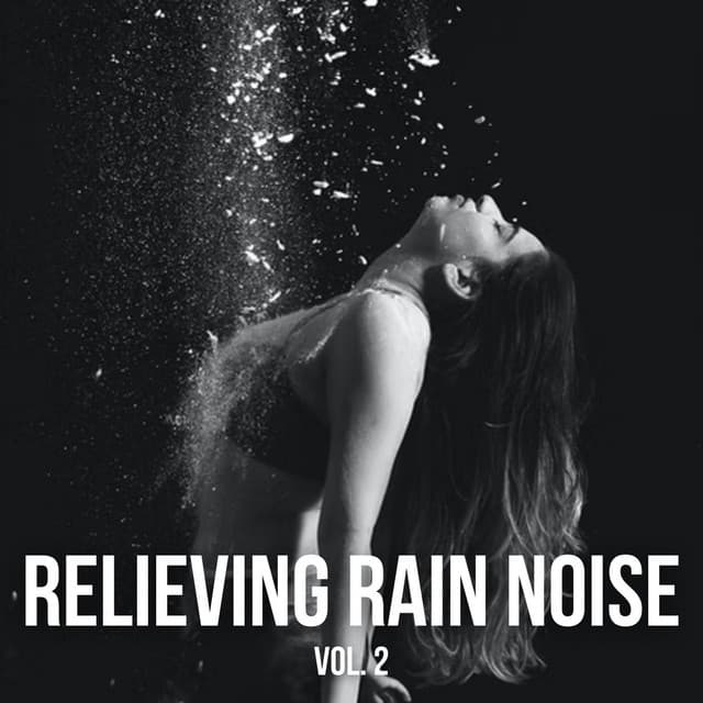 Relieving Rain Noise Vol. 2 - The Meditation Music Legends
