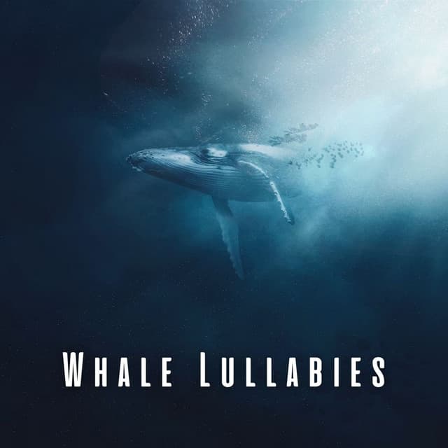 Whale Lullabies: Sleep to Soothing Whale Sounds - Soothing Waves Of Nerja