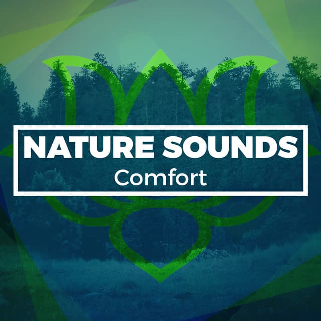 Nature Sounds Comfort - Nature Sounds Meditation