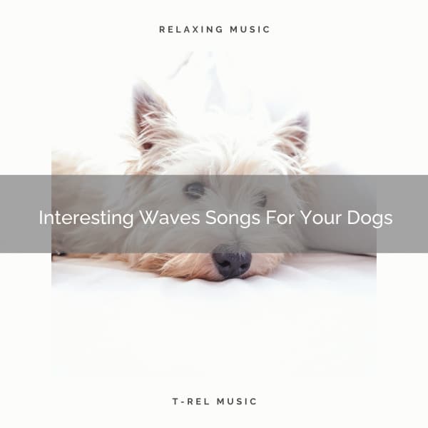 Interesting Waves Songs For Your Dogs - Pets Relax