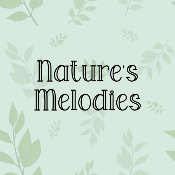 Nature's Melodies - Rain Sounds Nature Collection