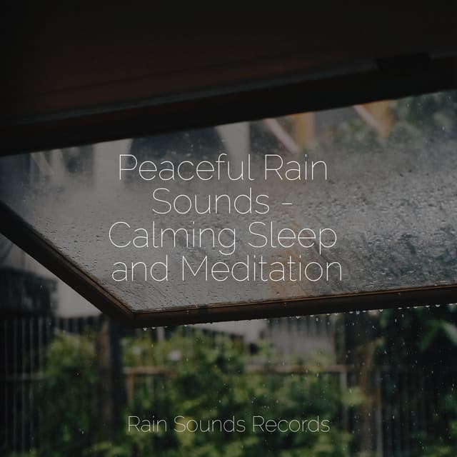 Peaceful Rain Sounds - Calming Sleep and Meditation - Musica de Relajación Academy