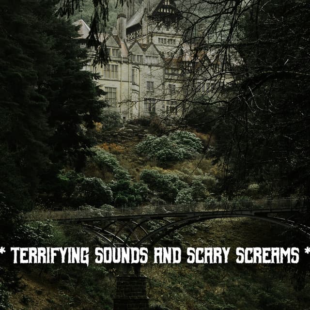 * Terrifying Sounds And Scary Screams * - The Haunted House of Horror Sound Effects