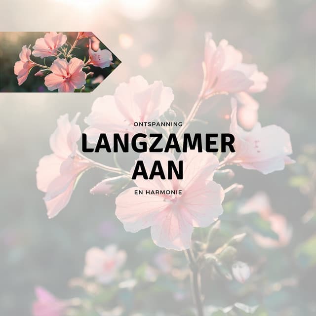 Langzamer Aan - Ontspanning en Harmonie