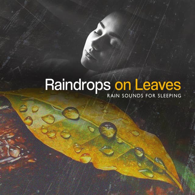 Raindrops on Leaves - Rain Sounds for Sleeping