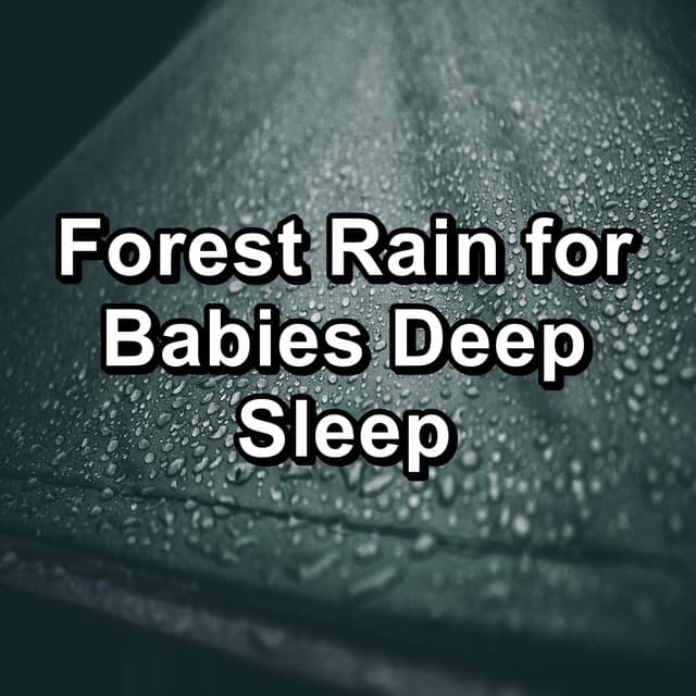 Forest Rain for Babies Deep Sleep - Rain
