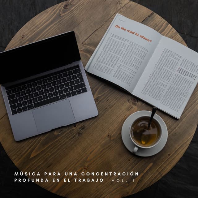 Música Para Una Concentración Profunda En El Trabajo Vol. 1 - Para leer